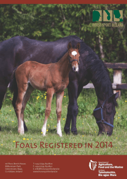 Foals Registered in 2014