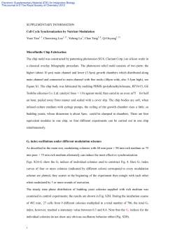 SUPPLEMENTARY INFORMATION Cell Cycle Synchronization by