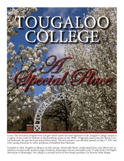 Cover: The intricately designed iron