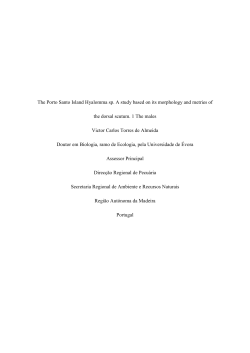 The Porto Santo Island Hyalomma sp. A study based on