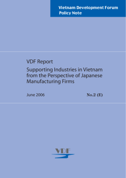 VDF Report Supporting Industries in Vietnam from the Perspective of