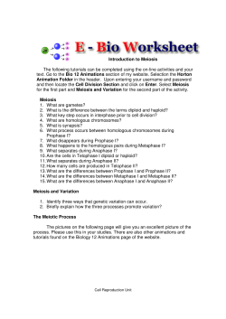 Introduction to Meiosis Worksheet