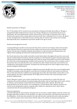 Health assessment of Morgan