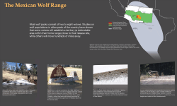 Panel 5 - The Mexican Wolf Range