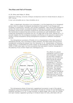 The Rise and Fall of Forests - BORA