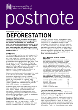 deforestation - Parliament UK