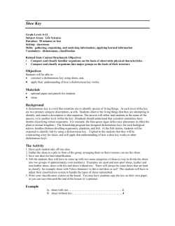 Shoe Key - Lesson Plan For Teaching About Dichotomous Key