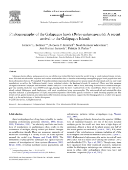 Phylogeography of the Gal&aacute;pagos hawk