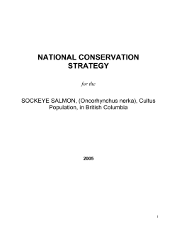 national conservation strategy