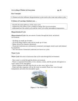 Ch 2.6 Cycling of Matter