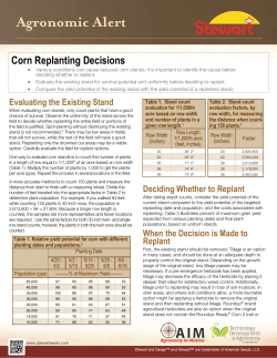 Corn Replanting Decisions