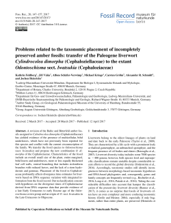 Problems related to the taxonomic placement of