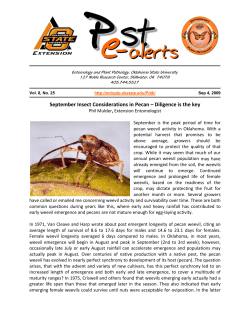 September Insect Considerations in Pecan &ndash; Diligence is the key