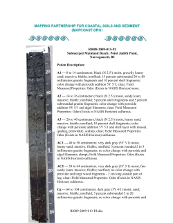 Pedon Description Report - Metric Units