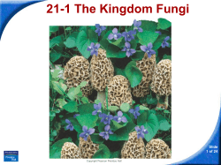 21-1 The Kingdom Fungi