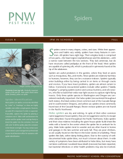 PNW Spiders - iSchool Pest Manager