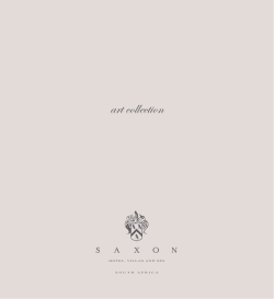 art collection - Saxon Hotel, Villas and Spa