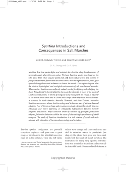 Human Impacts on Salt Marshes