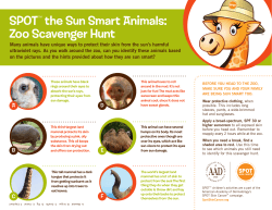 SPOT&trade; the Sun Smart Animals: Zoo Scavenger Hunt