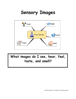 Sensory Images
