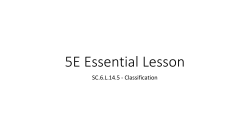 5E Essential Lesson - Kessler`s Science Class