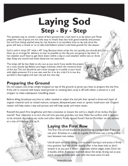 Laying Sod