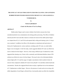 the efficacy of electrolyzed water for cleaning and sanitizing rubber