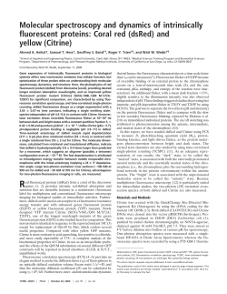 Molecular spectroscopy and dynamics of