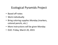 Ecological Pyramids Project