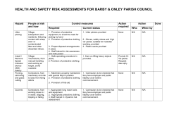 RISK ASSESSMENTS FOR XYZ LTD