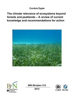 The climate relevance of ecosystems beyond forests and