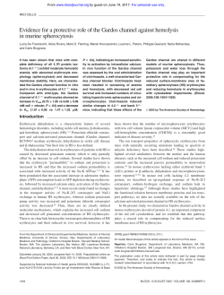 Evidence for a protective role of the Gardos channel