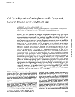 Cell Cycle Dynamics of an M-phase-specific Cytoplasmic Factor in