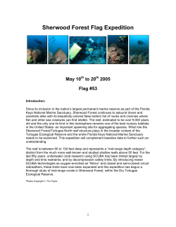 Sherwood Forest Flag Expedition
