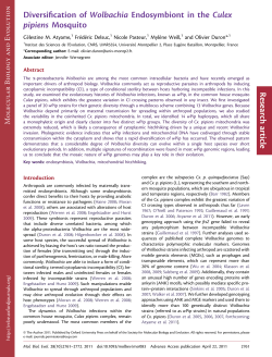 Diversification of Wolbachia Endosymbiont in the Culex