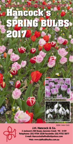hancock`s spring bulbs downloads