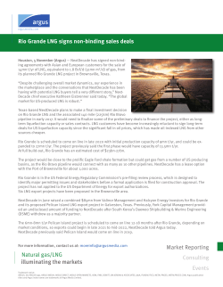 Rio Grande LNG signs non-binding sales deals illuminating the