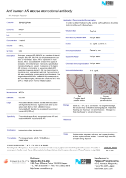 Anti human AR mouse monoclonal antibody