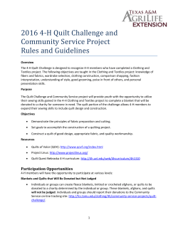 Quilt Challenge - Extension Educationin Henderson County