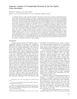Sequence Analysis of Transposable Elements in the Sea Squirt