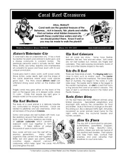 Coral Reef Treasures