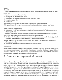 A. Form and Arrangement of Leaves