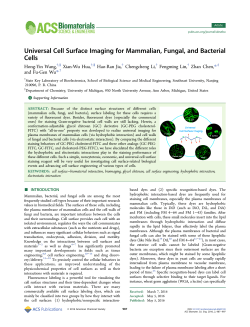 Universal Cell Surface Imaging for Mammalian