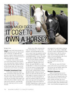 How much does it cost to own a horse?