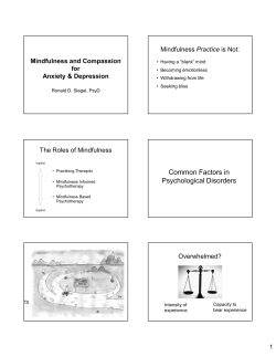 Mindfulness and Compassion for Anxiety and
