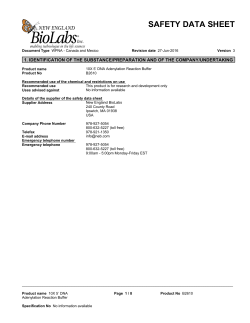 Safety Data Sheet for 10X 5` DNA Adenylation Reaction Buffer