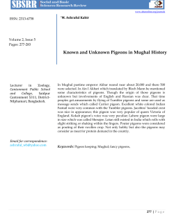 Known and Unknown Pigeons in Mughal History