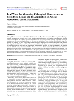 Leaf Wand for Measuring Chlorophyll Fluorescence on Cylindrical
