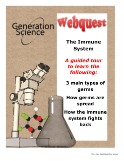 Immune System Webquest