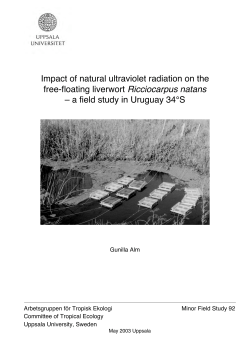 Impact of natural ultraviolet radiation on the free